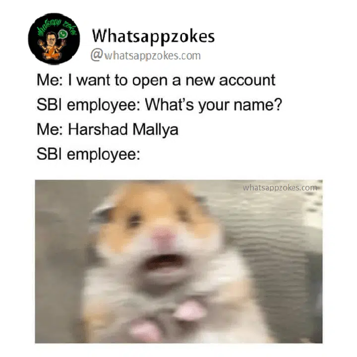 6 6