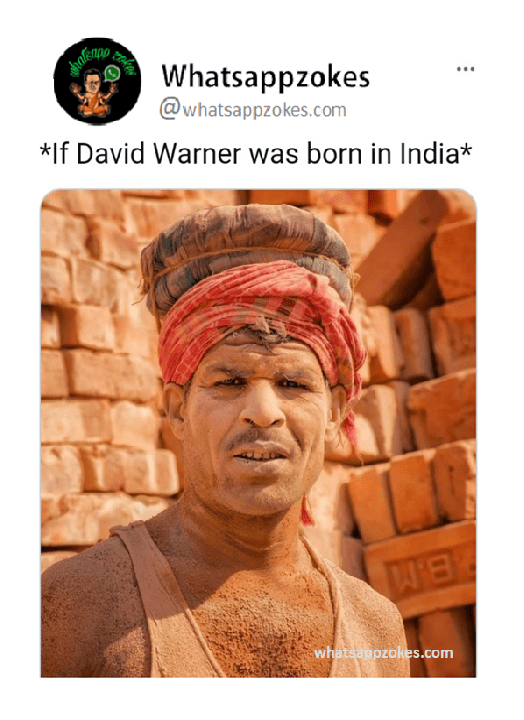 David Warner Memes