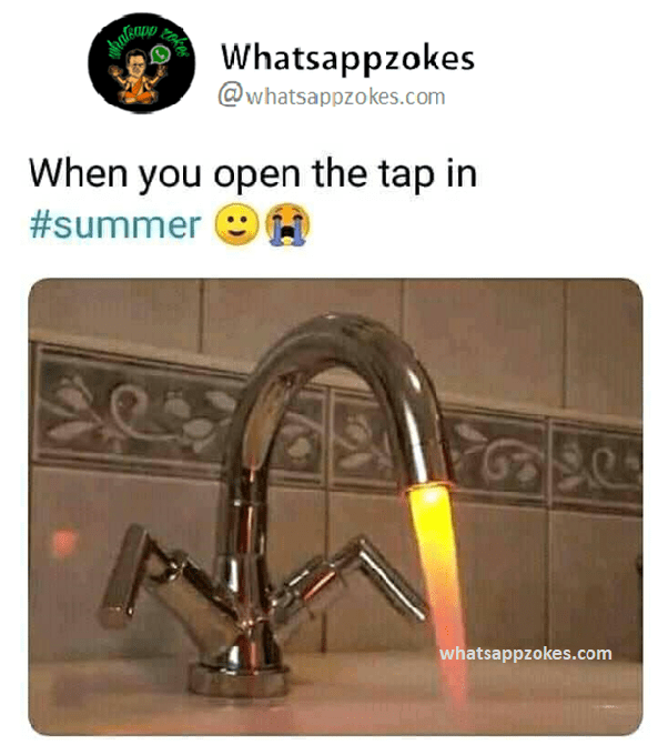 Best Summer memes