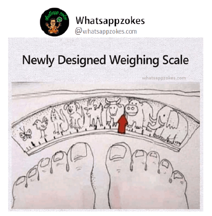 Funny Fat People Memes