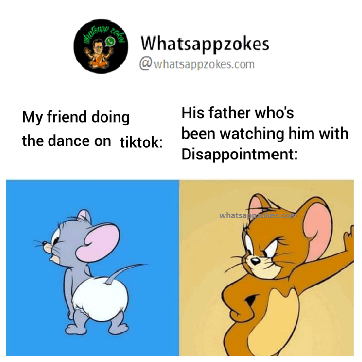 TikTok Funny Memes