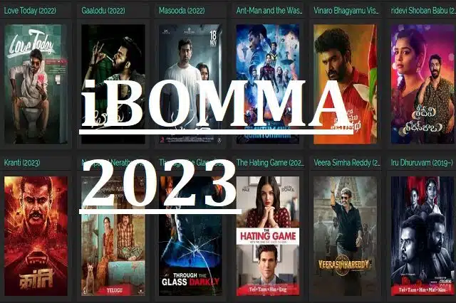 iBOMMA