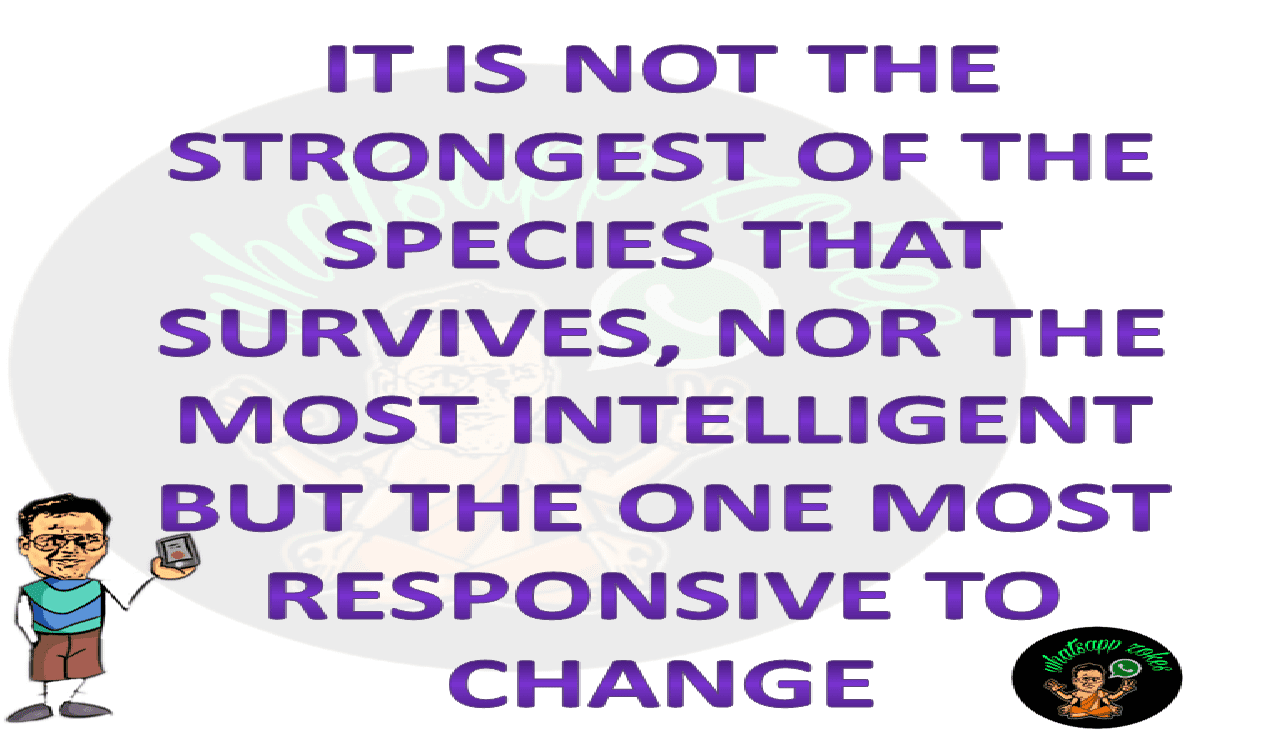 It Is Not The Strongest Of The Species It Is Not The Strongest Of The ...